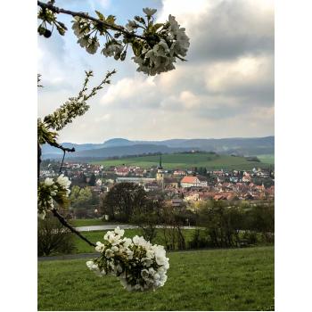 Fladungen 2019 (1).JPG