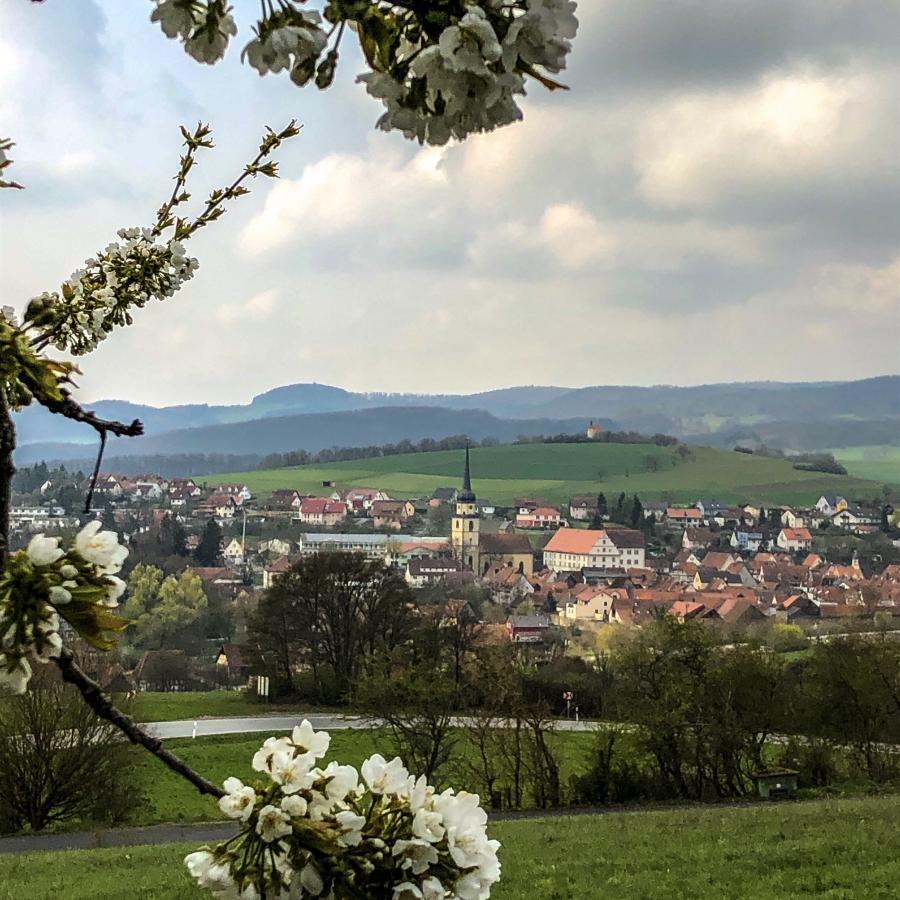 Fladungen 2019 (1).JPG